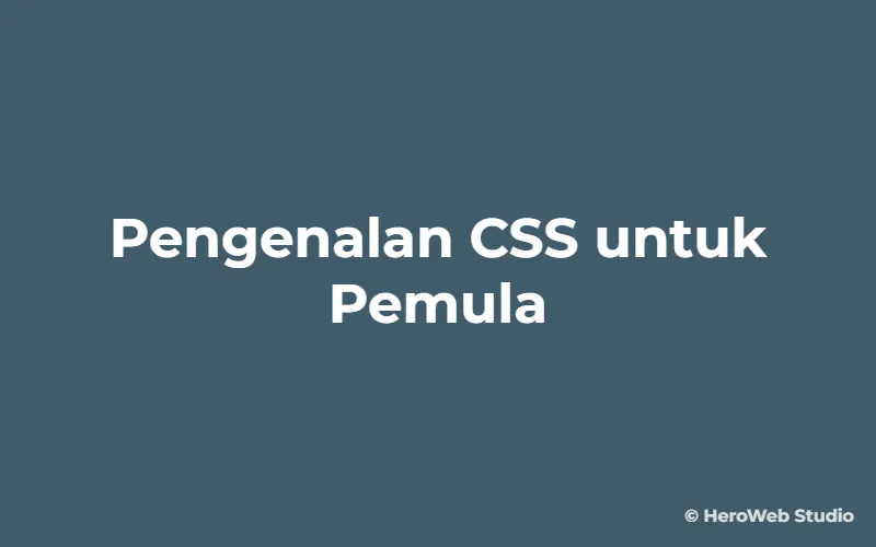 Panduan dan Pengenalan CSS untuk Pemula dari Nol